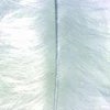 Pene marabu  - alb, 8-10 cm, 22 buc/pachet