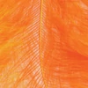 Pene marabu  - portocaliu, 8-10 cm, 22 buc/pachet