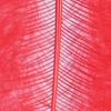Pene marabu  - roșu, 8-10 cm, 22 buc/pachet