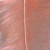 Pene marabu  - somon, 8-10 cm, 22 buc/pachet
