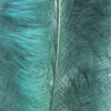 Pene marabu  - verde inchis, 8-10 cm, 22 buc/pachet