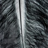 Pene marabu  - negru, 8-10 cm, 22 buc/pachet
