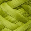 Imagine 2/10 -   Lână  Fairy Fleece- 77 verde lime