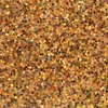 Sclipici 5 g - holo gold