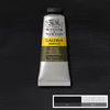 Winsor&Newton Galeria vopsea acrilică, 60 ml - 331, ivory black