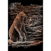 Set tablou gravură cu stilou gravură , 20x25 cm - Urși Grizzly, cupru