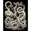 Set tablou gravură cu stilou gravură 20x25 cm - Octopus, strălucire în întuneric