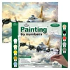 Set de colorat după numere, culori acrilice+pensulă, 29x39 cm - Avion de lupta