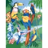Set de colorat după numere, culori acrilice+pensulă, 22x30 cm - pasari exotice