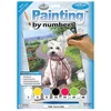 Set de colorat după numere, culori acrilice+pensulă, 22x30 cm - Timp de plimbare