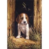 Set de colorat după numere, culori acrilice+pensulă, 22x30 cm - Beagle
