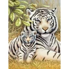 Set de colorat după numere, culori acrilice+pensulă, 22x30 cm - Tiger