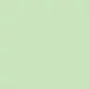 Marker tip pensulă cu alcool cu două vârfuri Promarker Brush - G339, meadow green