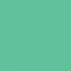 Marker tip pensulă cu alcool cu două vârfuri Promarker Brush - G637, mint green