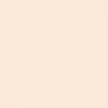 Marker tip pensulă cu alcool cu două vârfuri Promarker Brush - O819, almond