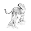 Set desen schițe și grafică cu instrumente, 22x30 cm - Ghepard