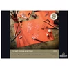 Bloc de desen și pictură Rembrandt Toned, 180 g, 50 coli , A4 - sanguine red