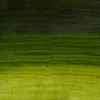Winsor&Newton Artisan Culori ulei solubile în apă, 37 ml - 503, permanent sap green