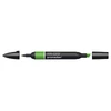 ProMarker marker cu alcool cu două vârfuri - G356, forest green