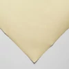 Hârtie Hahnemühle Ingres, 100 g, 48x62,5 cm - 252 ivory