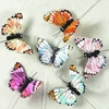 Imagine 3/3 - Fluturi în cutie, pe sârmă, colorate 5 cm, 24 buc