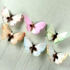 Imagine 3/3 - Fluturi în cutie, pe sârmă, pastel, 7,5 cm, 12 db