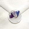 Imagine 2/2 - Petale de flori, uscate, J. Herbin - floare de colț, albastru-violet