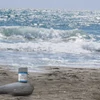 Nature, vopsea naturală, ecologică, Kreul, 50 ml - ocean