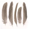 Pene de bibilică, 16-19 cm, 5 buc - naturale
