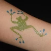 Imagine 3/3 - Șablon de tatuaj, șablon autoadeziv - Broasca 01