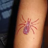 Imagine 3/3 - Șablon de tatuaj, șablon autoadeziv - Spider 01