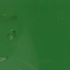 Jeleu de lumânare, culoare - verde