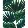 Imagine 1/5 - Set pictură pe numere, pe pânză întinsă, 40x50 cm - Tropical Nr. 2
