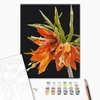 Set pictură pe numere, pe pânză întinsă 40x50 cm - Anastasiia Osmolovska: Fritillaria imperialis