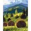 Pictură pe numere, pe pânză întinsă, 40x50 cm - Soarele peste pășunea montană