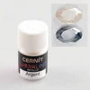 Pulbere metalică Sparkling Cernit - argintiu metalic