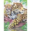 Imagine 2/3 - Set de colorat după numere, creioane colorate+ascuțitoare, 22x30 cm - Jaguar