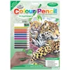 Set de colorat după numere, creioane colorate+ascuțitoare, 22x30 cm - Jaguar