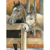 Set de colorat după numere, creioane colorate+ascuțitoare, 22x30 cm - Cai