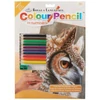 Set de colorat după numere, creioane colorate+ascuțitoare, 22x30 cm - Bufniță