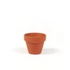 Ghiveci  flori - 5 cm