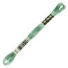 Ață pentru broderie DMC Mouliné (împărțit, 6 fire), 8 m - 222-913, Nile Green - MED