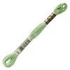 Ață pentru broderie DMC Mouliné (împărțit, 6 fire), 8 m - 234-164, Green - LT
