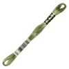 Ață pentru broderie DMC Mouliné (împărțit, 6 fire), 8 m - 266-3364, Pine Green