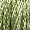 Ață pentru broderie DMC Mouliné (împărțit, 6 fire), 8 m - 266-3364, Pine Green