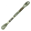 Ață pentru broderie DMC Mouliné (împărțit, 6 fire), 8 m - 282-522, Fern Green