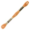 Ață pentru broderie DMC Mouliné (împărțit, 6 fire), 8 m - 331-3854, Autumn Gold - MED