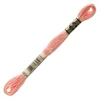 Ață pentru broderie DMC Mouliné (împărțit, 6 fire), 8 m - 358-3824, Apricot - LT