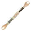Ață pentru broderie DMC Mouliné (împărțit, 6 fire), 8 m - 363-951, Tawny - LT