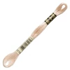 Ață pentru broderie DMC Mouliné (împărțit, 6 fire), 8 m - 404-3774, Desert Sand - VY LT